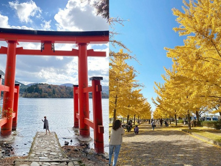 Góc chữa lành cho những tâm hồn xa xứ ở đất nước Mặt trời mọc