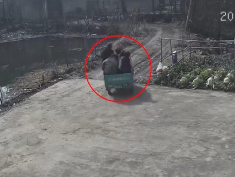 Clip: “Dở khóc dở cười” xe ba gác mất lái, 5 người lao thẳng xuống ao