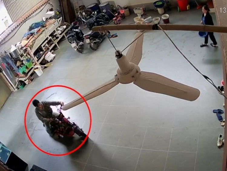 Clip: Chở quất về tới nhà chơi Tết, người phụ nữ gặp tai nạn “dở khóc dở cười”