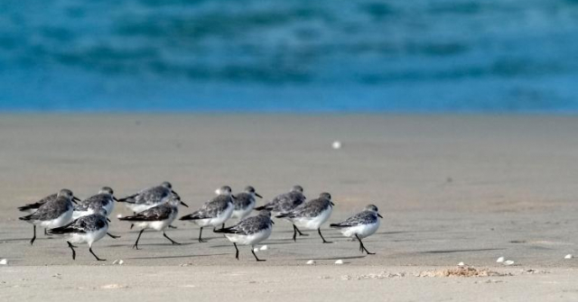 Hẹn ngoài vô tận (tản văn)