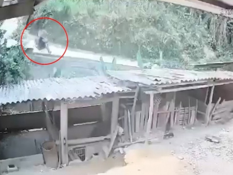 Clip: Phóng xe xuống dốc mất lái, cô gái bay thẳng vào chuồng gia súc