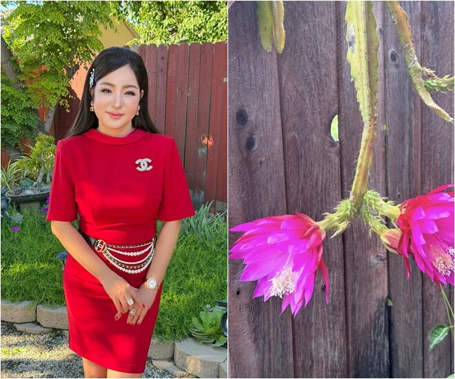 Kim Hiền và Thúy Nga khoe loài hoa cùng tên trong vườn nhà nhưng một bên gặp "hiện tượng lạ" - 5