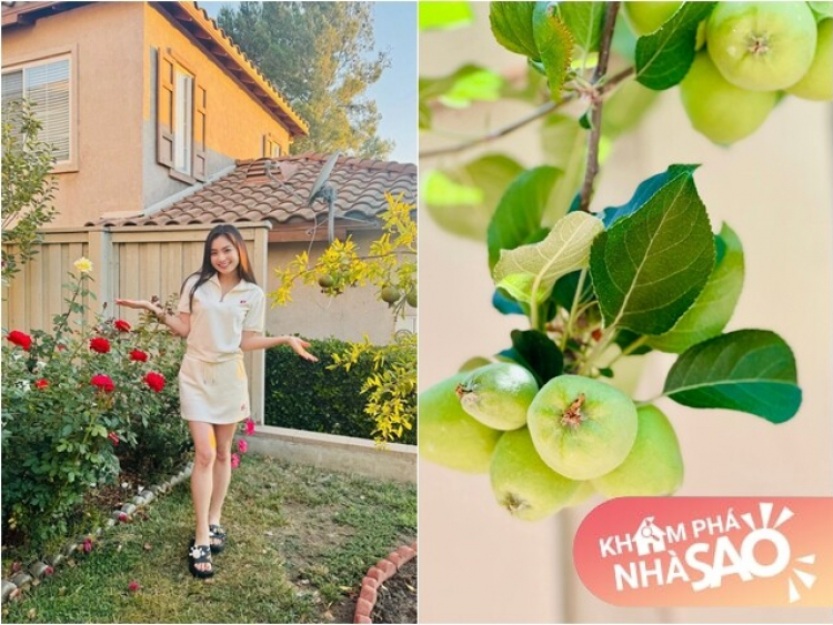 Ngôi nhà ngập tràn hoa trái của diễn viên Diệu Hương, đào – táo ngon ngọt sai lúc lỉu đến mùa thu hoạch