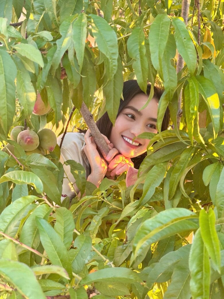 Ngôi nhà ngập tràn hoa trái của diễn viên Diệu Hương, đào - táo ngon ngọt sai lúc lỉu đến mùa thu hoạch - 3