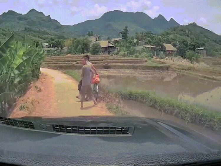 Clip: Nhường đường cho ô tô, người đàn ông dắt xe đạp cắm đầu xuống ruộng