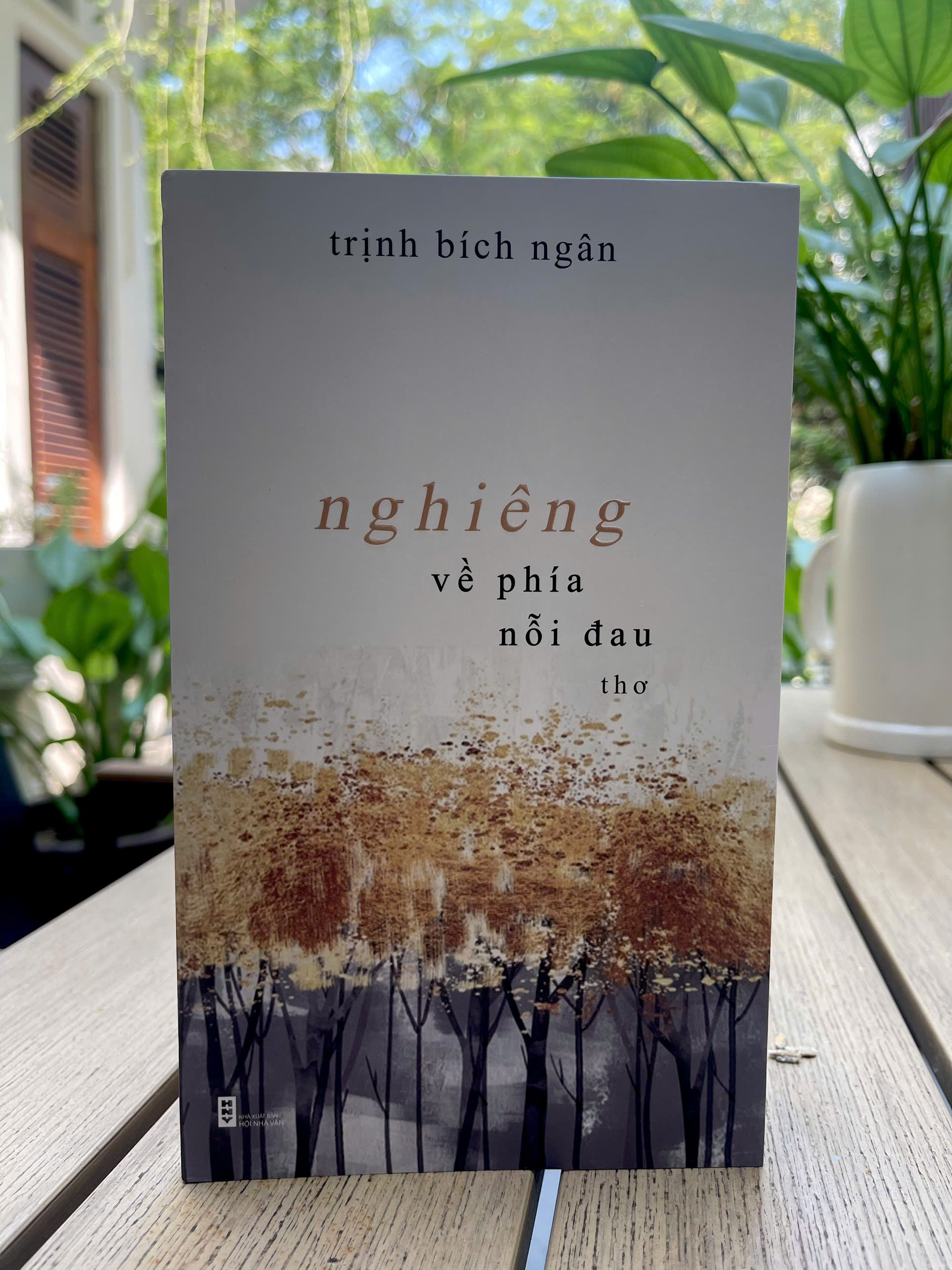 Thơ Trịnh Bích Ngân: Sáng tạo trong sự khác biệt - 2