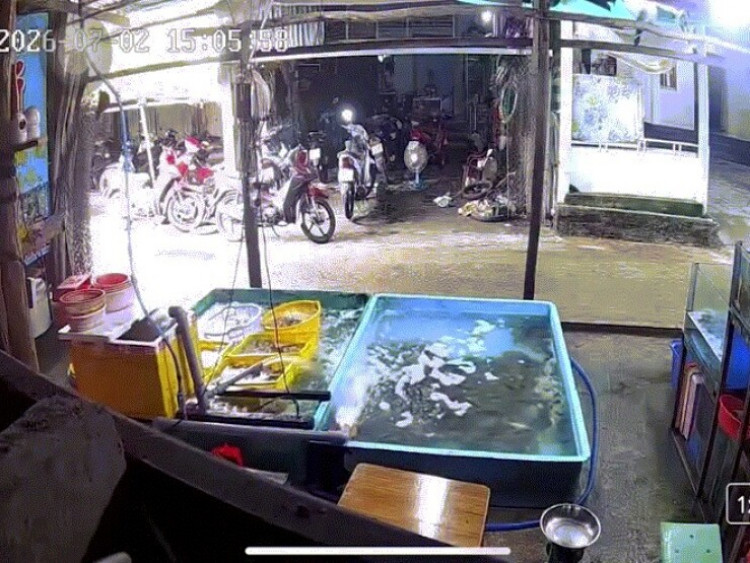Clip: “Dở khóc dở cười” bé gái phóng xe máy lao thẳng vào bể hải sản trước nhà