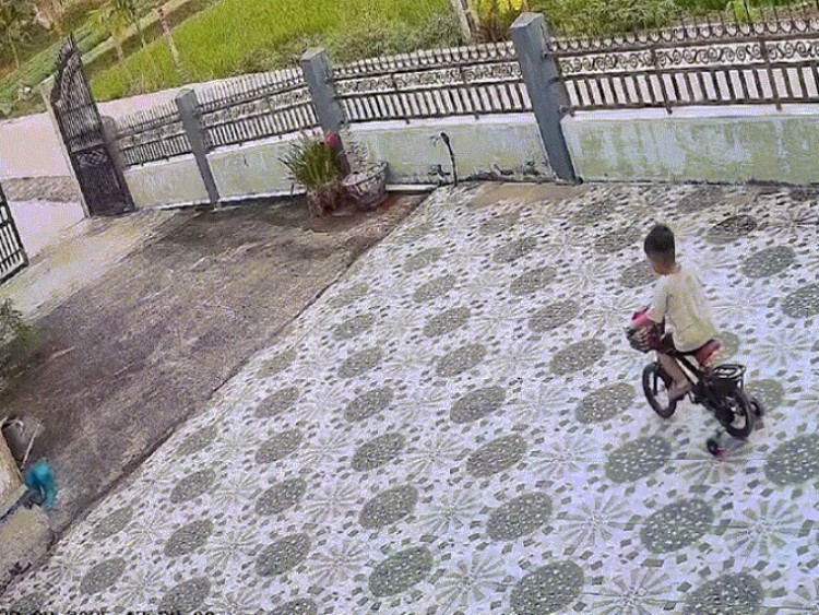 Clip: Thót tim “khối nghỉ hè” đạp xe từ trong nhà lao thẳng xuống ruộng lúa
