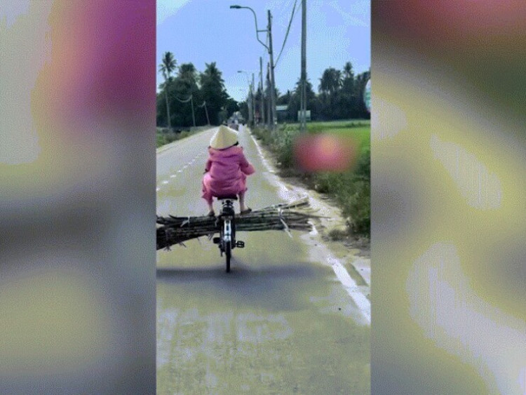 Clip: Hú hồn người phụ nữ ung dung chở mía chắn ngang đường mặc ô tô bấm còi
