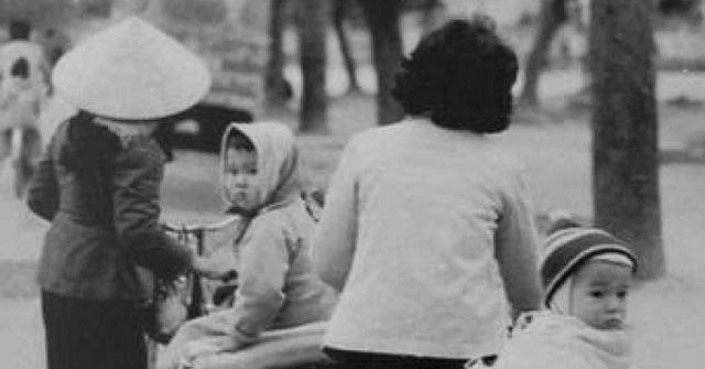 “Mẹ ơi… Mẹ có nghe không?” – tiếng gọi từ miền ký ức